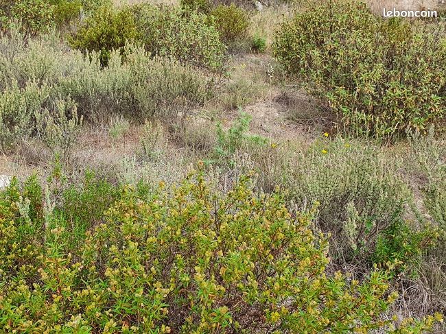 Terrain 1 223 m² Theza · à Théza · 159 000 €