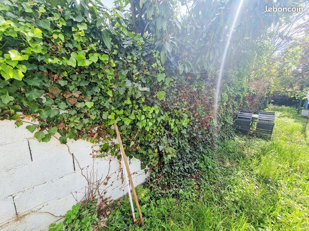 Appartement a louer houilles - 2 pièce(s) - 33 m2 - Surfyn