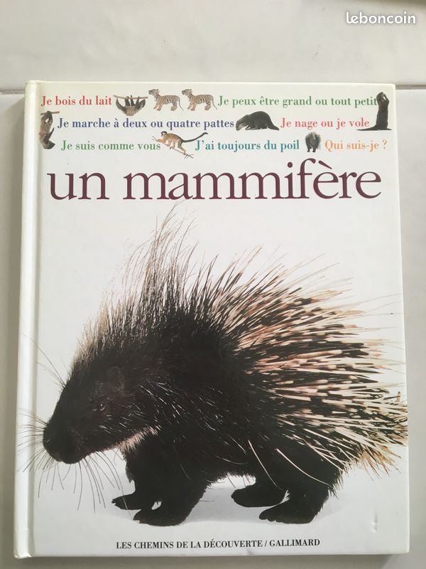 Lot de 12 BD Enfants (image 10)