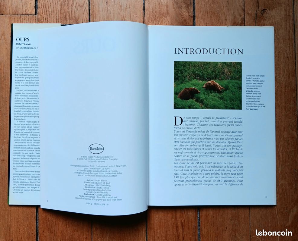 Beau Livre : OURS de Robert Elman (image 5)