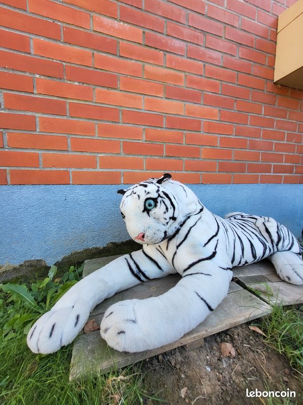 Peluche (image 1)