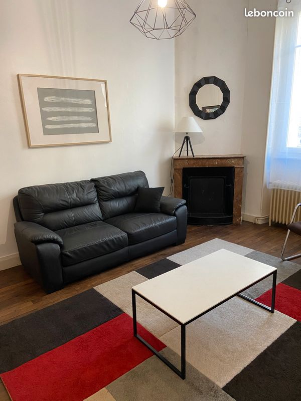 T2 meuble quartier résidentiel émailleurs - Limoges 87000 (image principale 0)