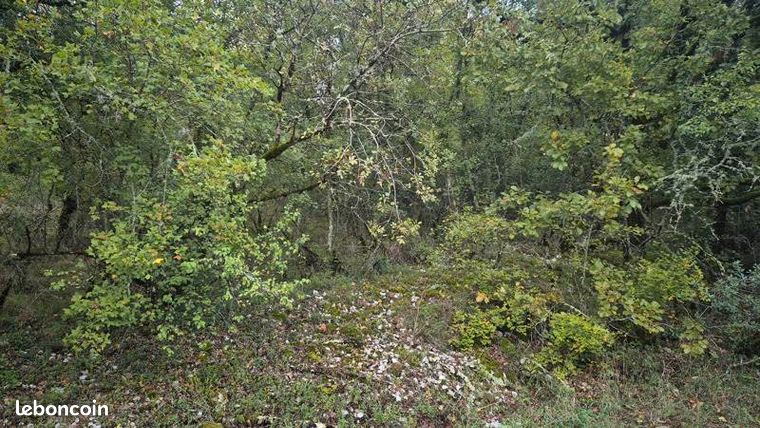 Terrain 1 292 m² Pinsac