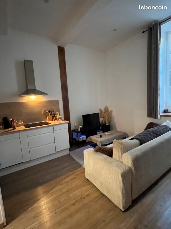Appartement 1 pièce 45 m² · à Pau · 45 m² · 650 €/mois