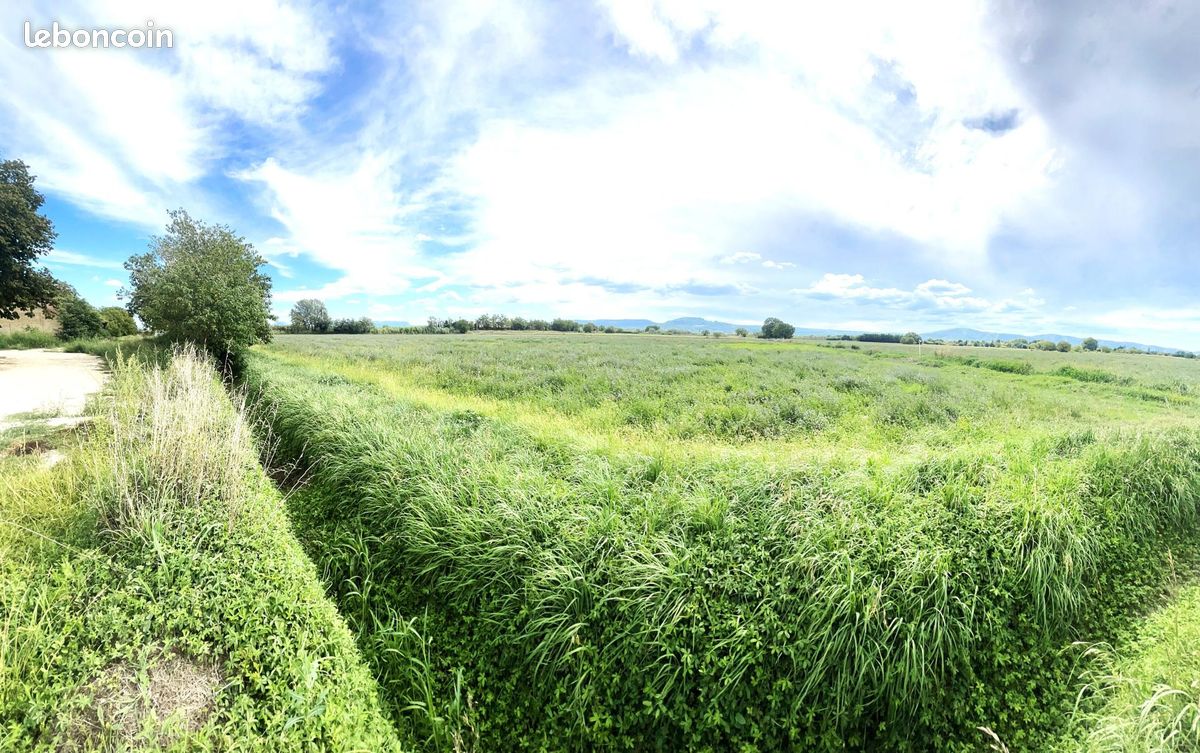 Mas 6 pièces 157 m² (image 3)