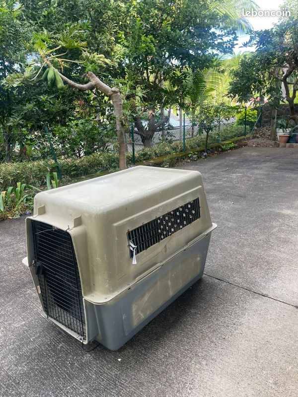 Caisse de transport XXL pour grand chien (image 2)