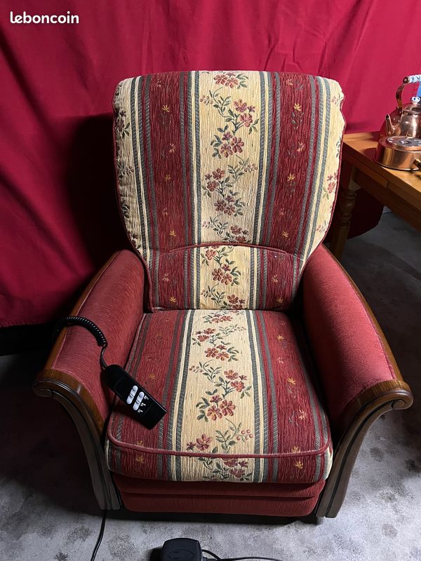 Fauteuil releveur électrique tissu et bois (image 1)
