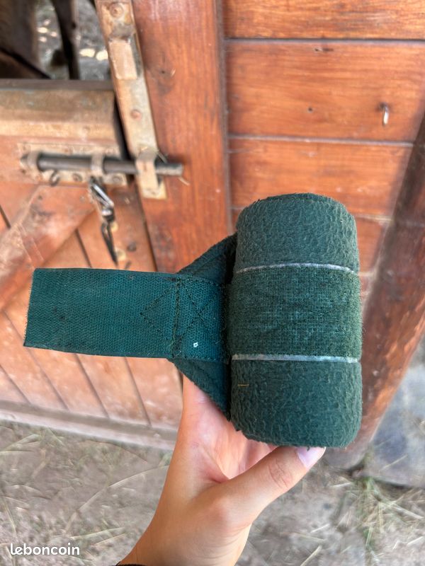 Bandes de polo (image 2)