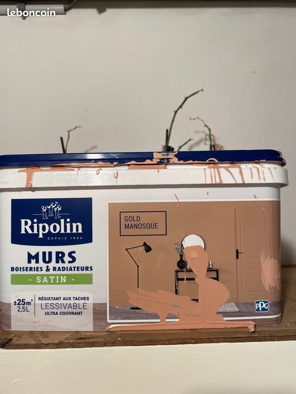 Peinture Ripolin gold manosque (image 1)