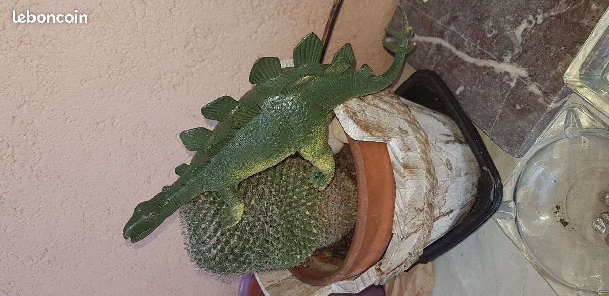 Dinosaure (image 5)