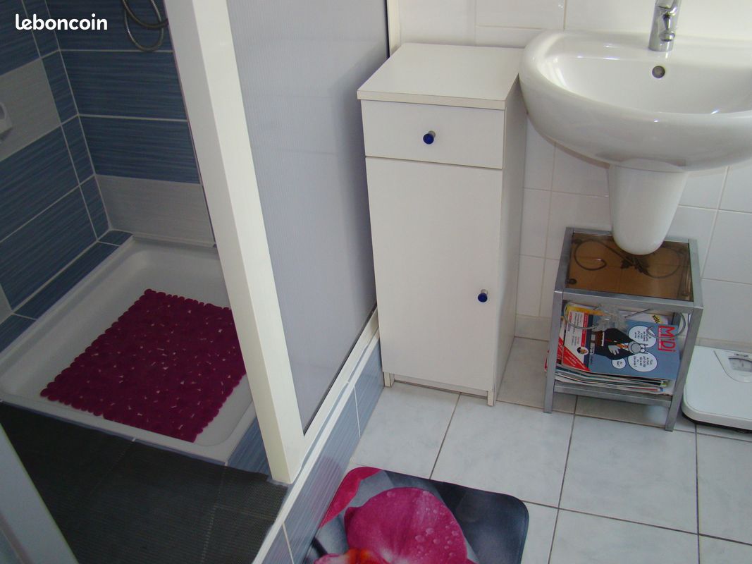 Appart a louer a lamalou les bains pour curiste ou autre (image 5)