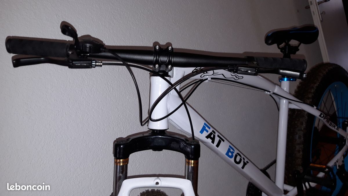 Fatbike Mountainbike (image 8)