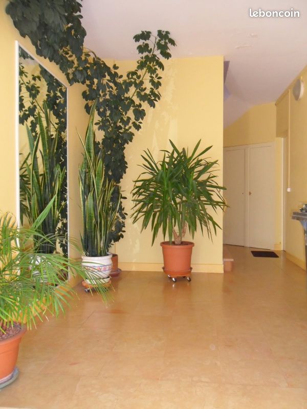Appartement 3 pièces 60 m² · à Royan · 60 m² · 250 000 €