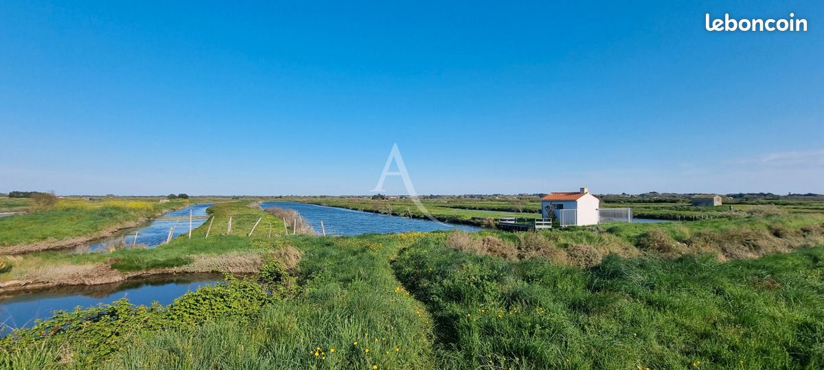 Terrain 21385 m² SAINT HILAIRE DE RIEZ (image 5)