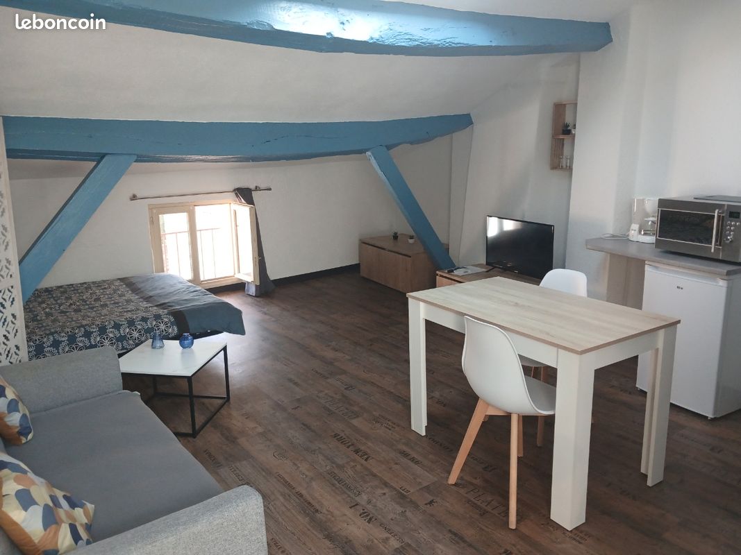 Appartement 1 pièce 30 m² · à Albi · 30 m² · 495 €