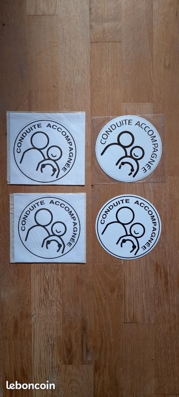 4x disques conduites accompagnées (image 1)