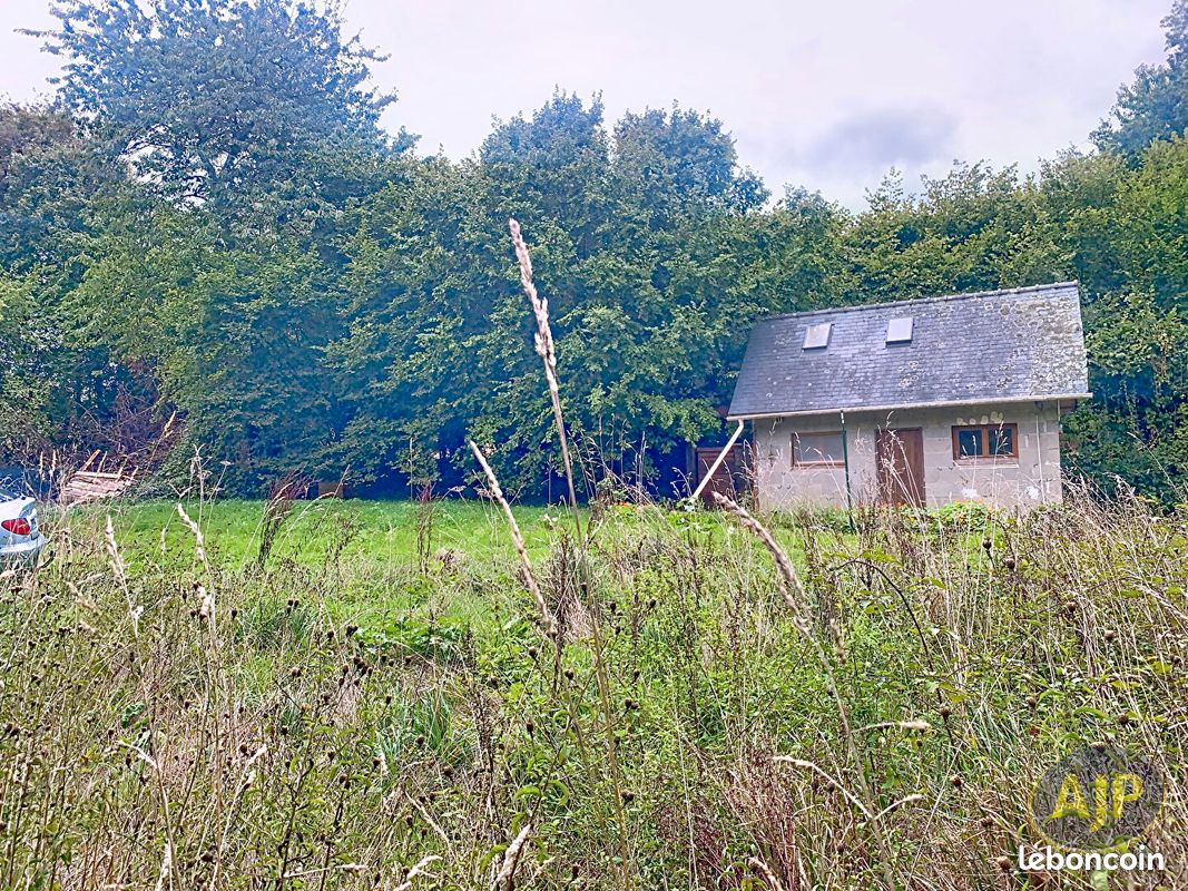 Terrain 4457 m² BOUILLE MENARD (image 6)
