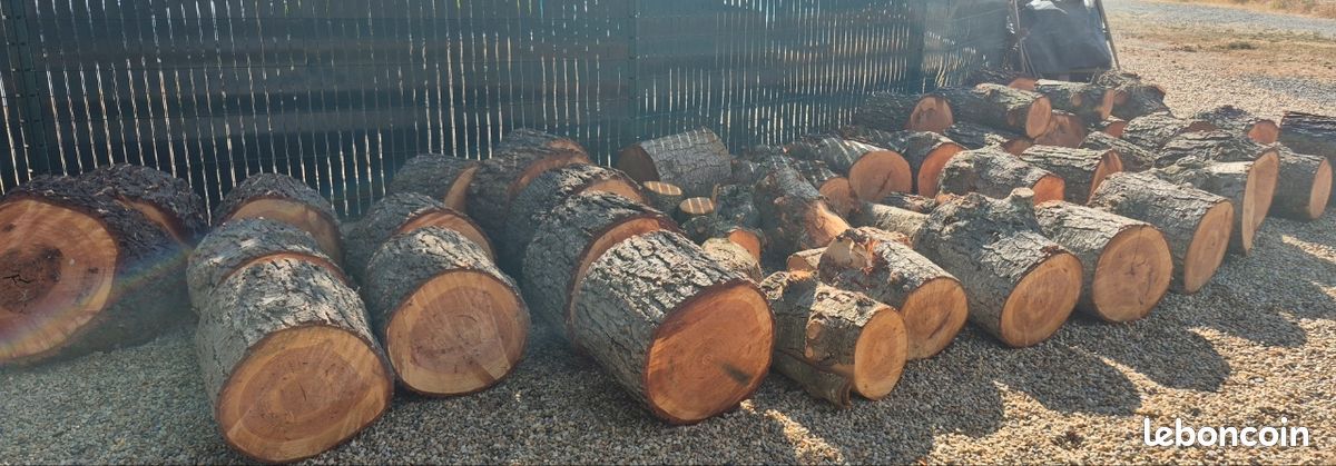 Bois de sapin (image 3)