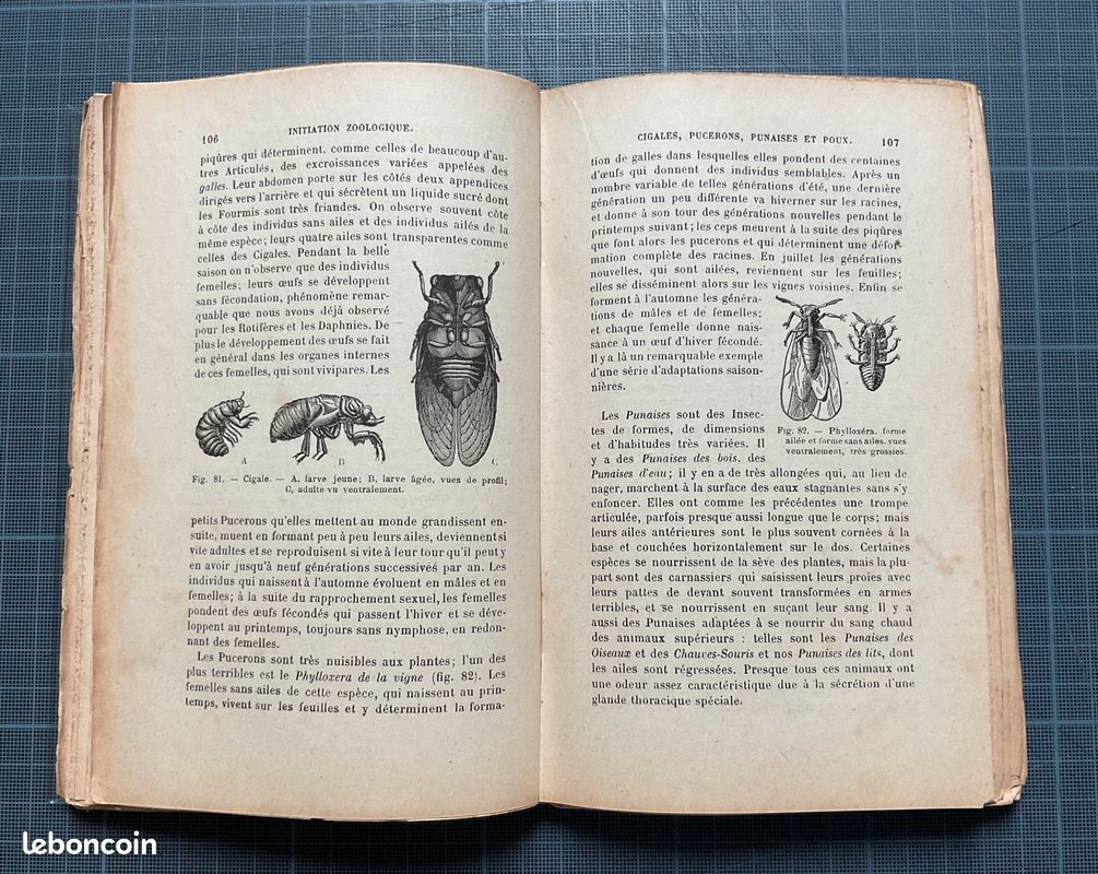 Initiation zoologique par E. Brucker - Hachette 1921 (image 6)