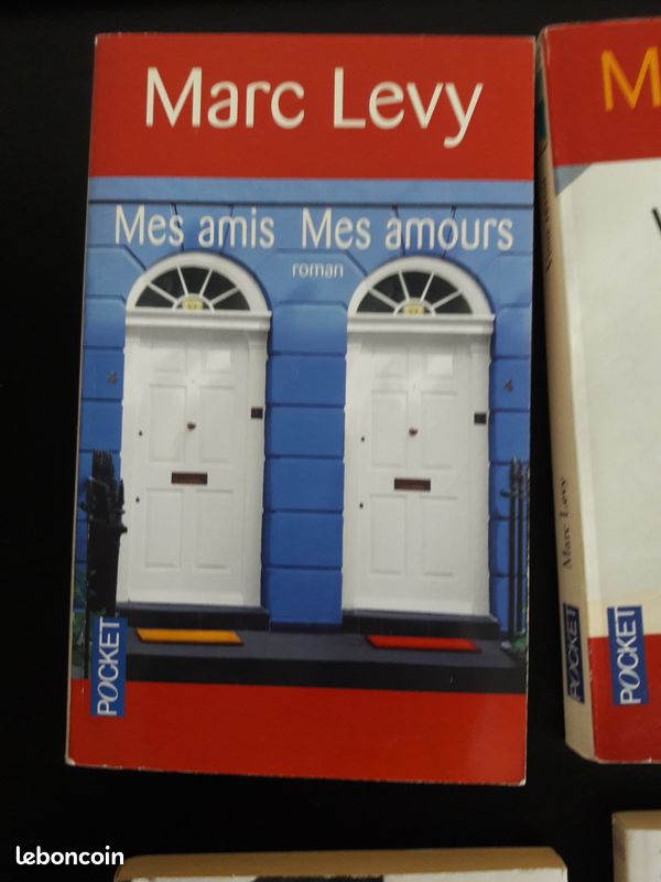 Lot de 10 livres de poche (image 1)