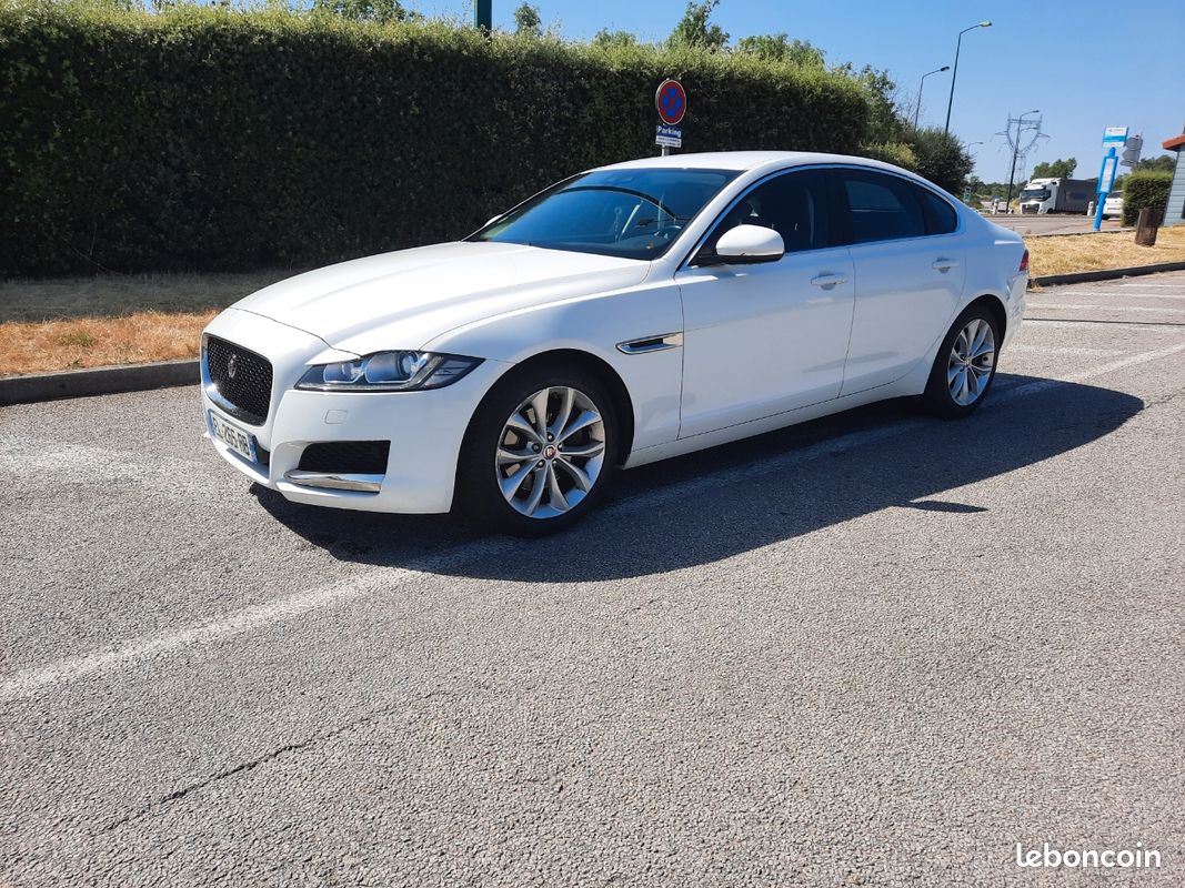 Jaguar xf (image 1)