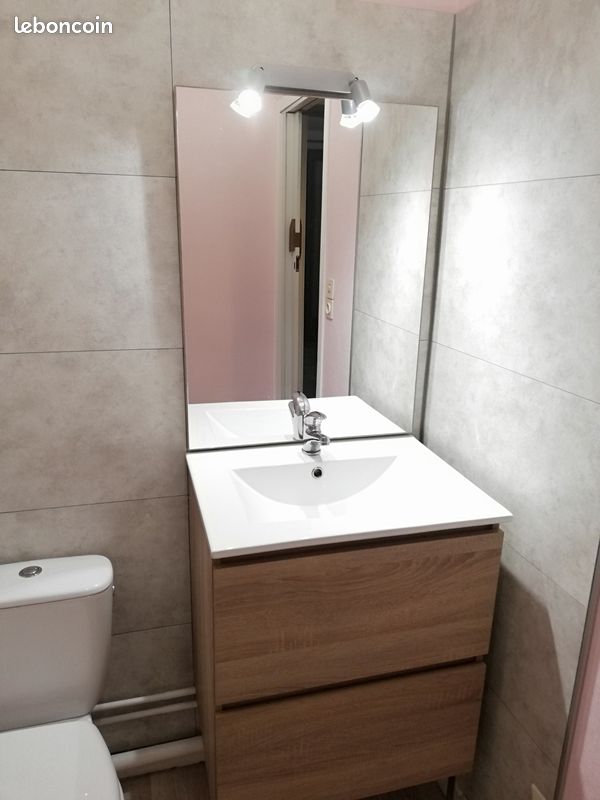 T2 Résidence seniors -Hyper centre de Limoges - Limoges 87000 Centre-Hôtel de Ville Emailleurs (image principale 2)