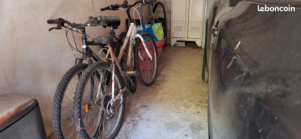 Vends 2 vtts (image 1)