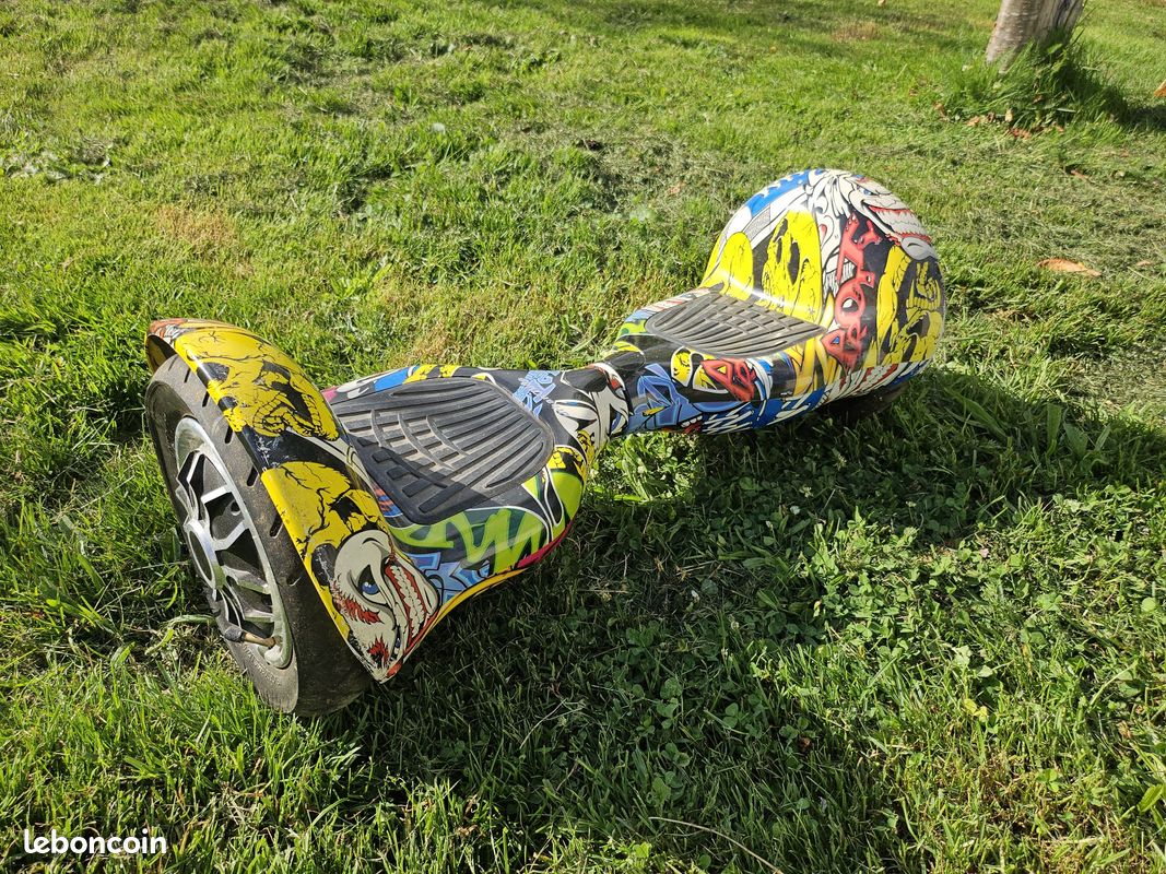 Hoverboard tout terrain (image 1)