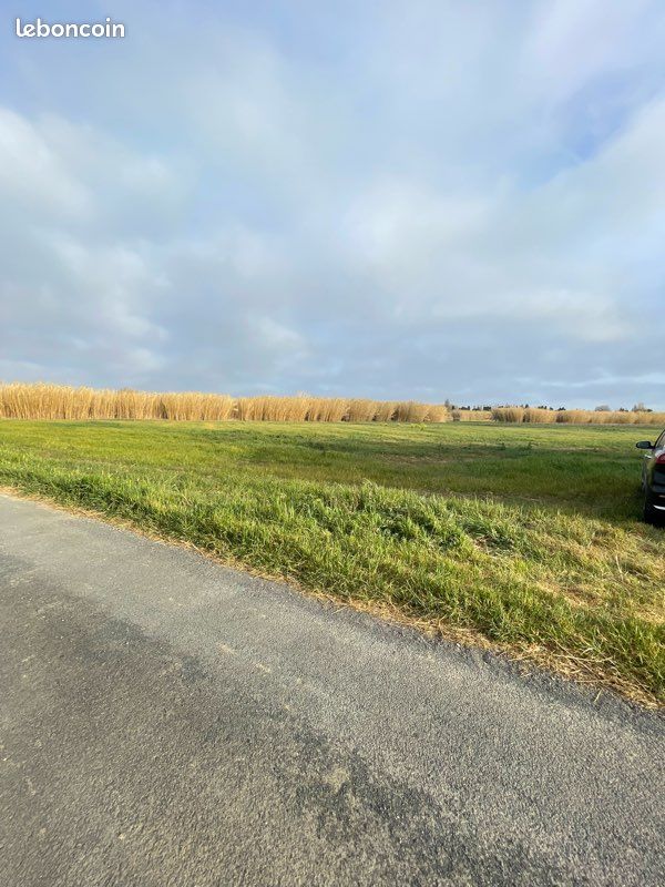 Terrain agricole · à Sainte-Marie-la-Mer · 50 000 €