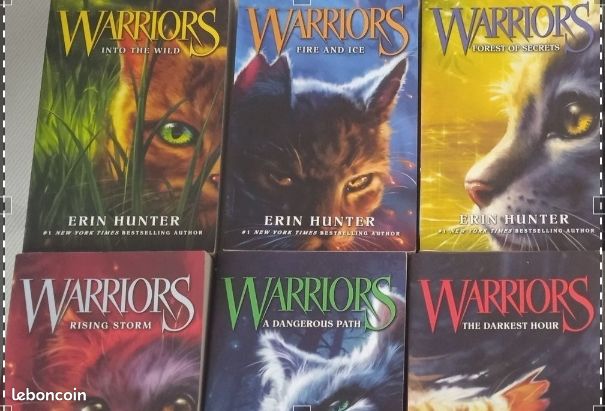 Warriors: first cycle (image 1)