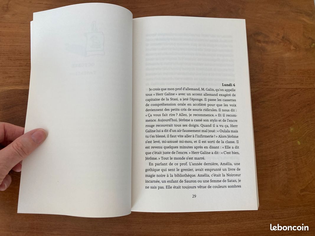 En mode voilà quoi Camille Fievez (image 20)