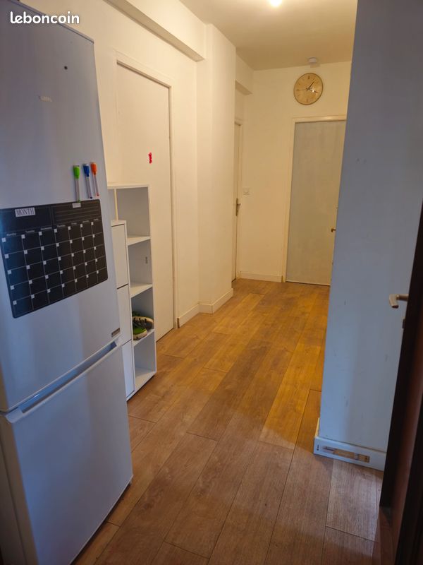 Colocation féminine (image 2)