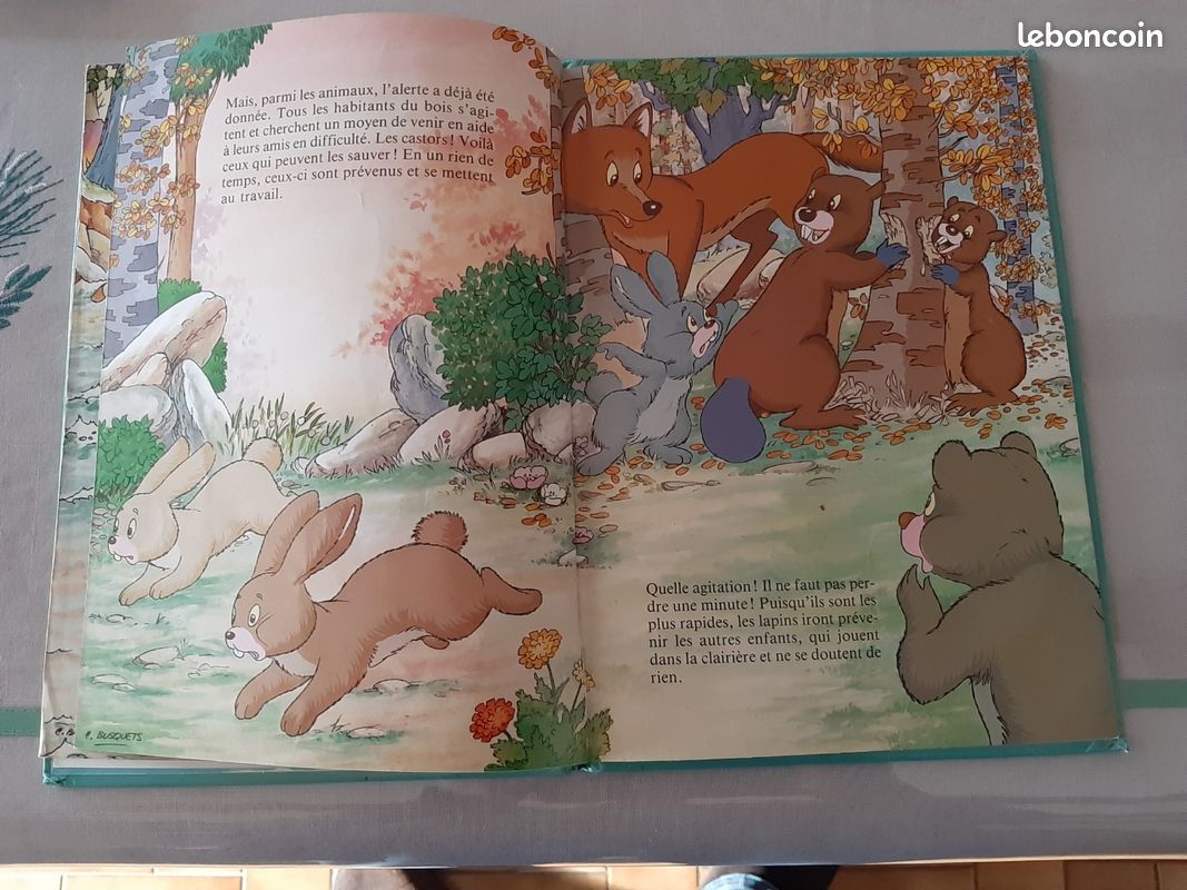 Livre nous et les petits castors (image 2)