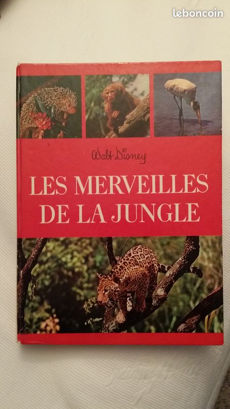 Livre " LES MERVEILLES DE LA JUNGLE " Walt Disney (image 1)