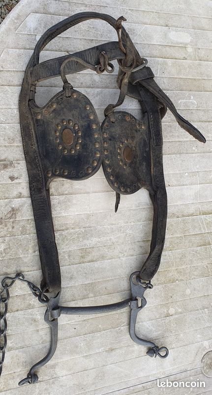 Rare Ancienne Malle En Cuir Cloutée Epoque 18e Bombée De Corsaire