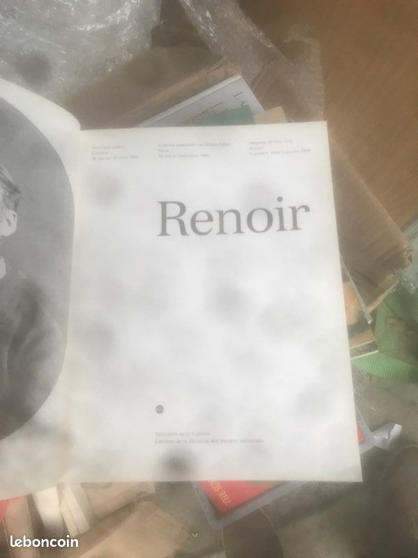 Livre art Renoir (image 3)