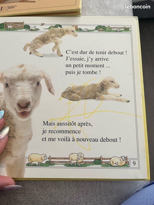Lot livres animaux hachette jeunesse (image 5)