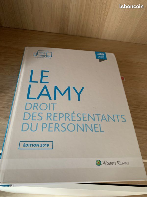 Lamy Droit des représentants du personnel 2019 (image 1)