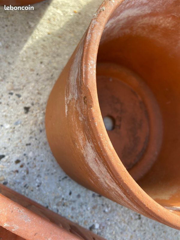 Lot de pots de fleurs en terre cuite (image 3)