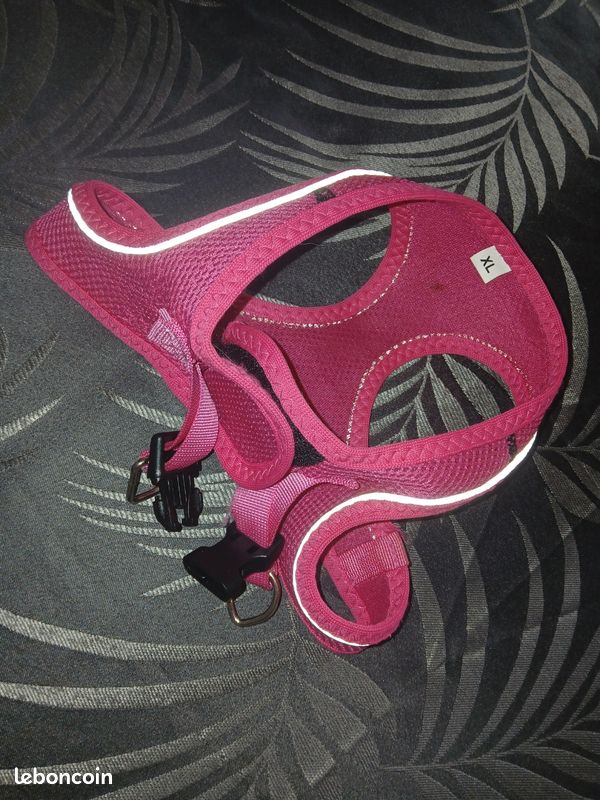 Harnais pour chien xl (image 1)