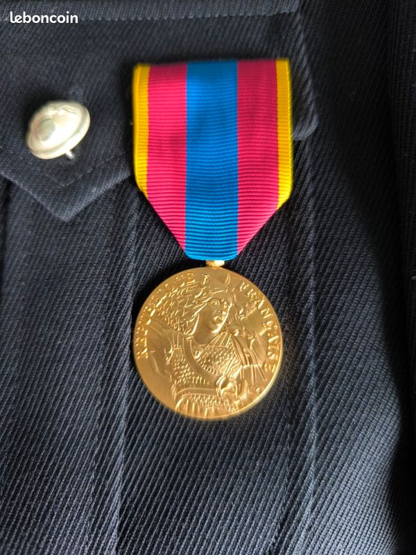 Médaille de la défense nationale Or (image 1)