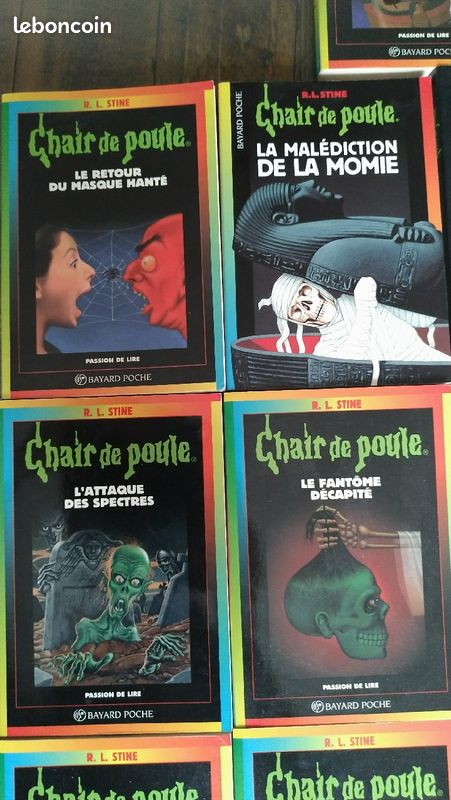 13 livres de poche de la collection CHAIR DE POULE en parfait état (image 2)