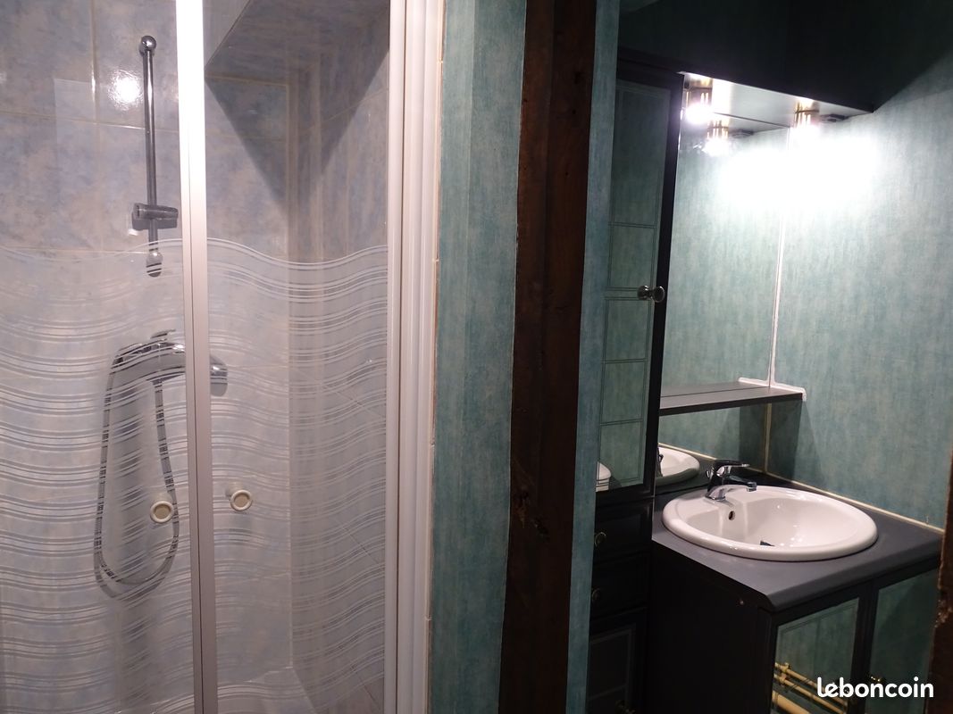 F1 Bis 2ème étage 34 M² - Limoges 87000 Le Sablard Limoges Sud (image principale 1)