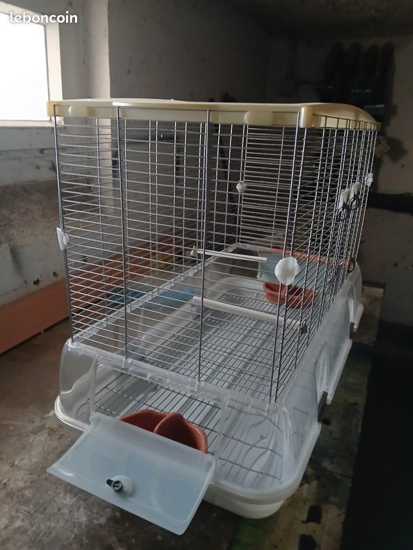 Cage vision (image 3)
