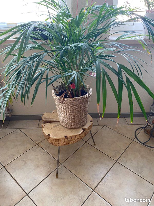 Table basse originale (image 1)