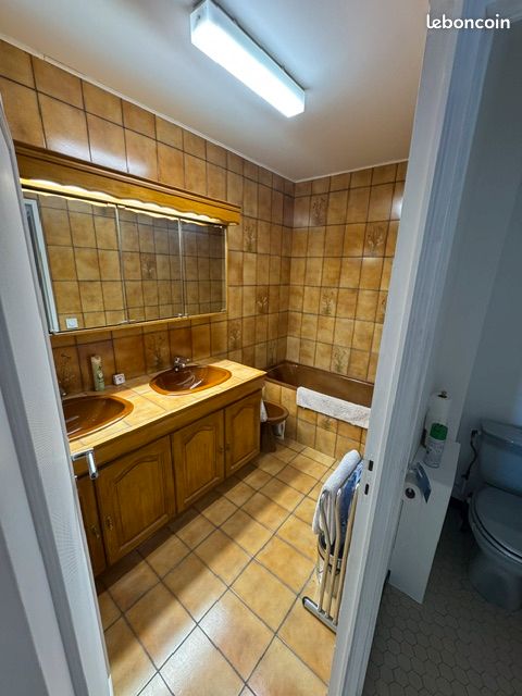 Colocation appartement Bron (image 7)