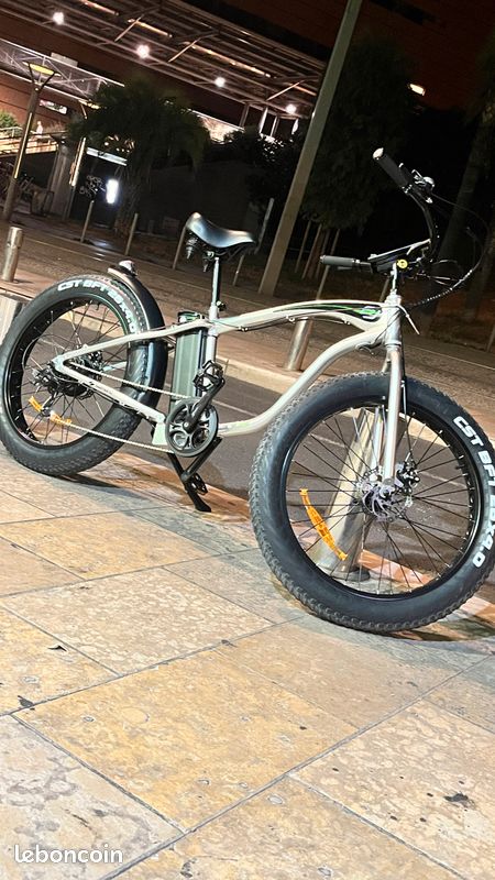Le vélo électrique (image 3)