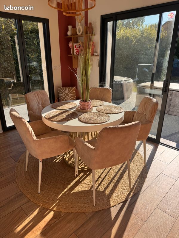 Chaise 60 euros (image 1)