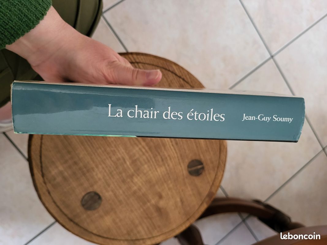 "La chair des étoiles" Jean-Guy Soumy (image 3)