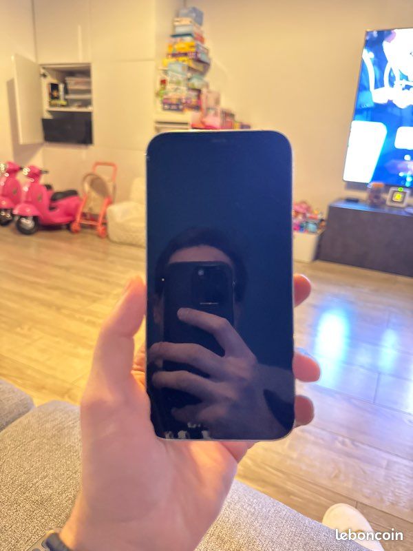 Vend iPhone 12 Pro Max 256go (image 1)